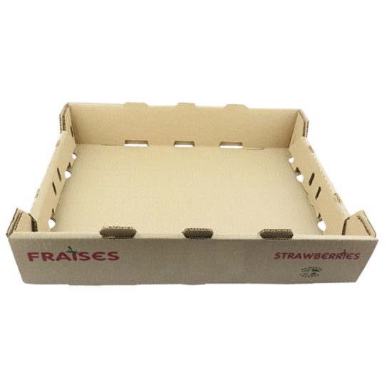 #MASTERF1 MASTER PANIER 10X1LT <br>UNIVERSEL