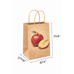 #SPP-171020 SAC EN PAPIER KRAFT AVEC POIGNÉES TORSADÉES (5LB POMME) <br>6 3/4