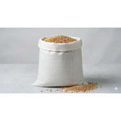 #T1727 SAC POLYPROPYLÈNE BLANC <br>17