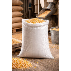 #T2030 SAC POLYPROPYLÈNE TISSÉ BLANC <br>20