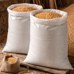 #T2130 SAC POLYPROPYLÈNE BLANC <br>21