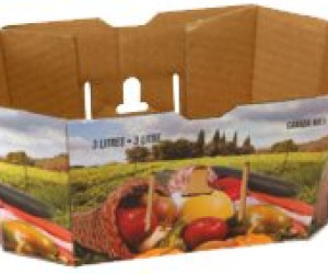 Contenants Fruits & Légumes